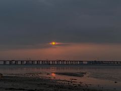 -宝安西湾红树林湿地公园