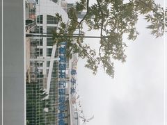 -秦皇岛路游船码头
