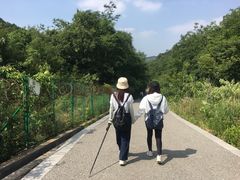-灵岩山风景区