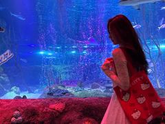 -沈阳海洋探索中心