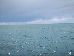 -青海湖国家重点风景名胜区