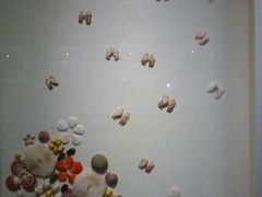 -青岛贝壳博物馆