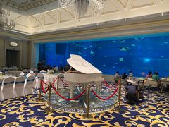 -涛·海底餐厅·美人鱼·自助餐·海底隧道(三亚海棠湾洲际度假酒店)