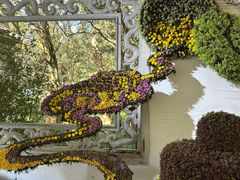-杭州植物园