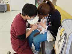 -美联众合动物医院·24h京西诊疗中心