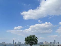 -苏州东太湖生态园