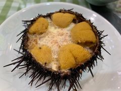 海胆蒸蛋-华圆美食-老蓬莱菜(蓬港路店)