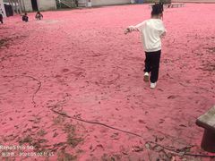 -石燕湖生态旅游景区