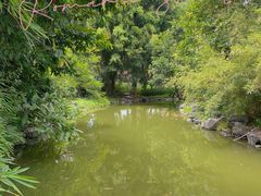 -珠海圆明新园