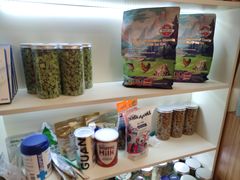 -猫十亿·布偶金渐层·曼基康矮脚猫舍(青年路店)