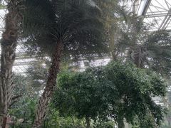 -龙达温泉生态城