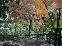-湖泉半山温泉