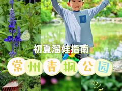 -青枫公园