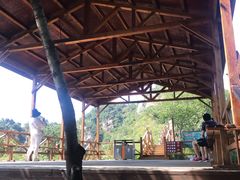 -大岭沟猕猴桃谷风景区