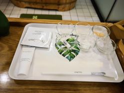 点击看大图 -薇薇安花系SPA