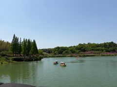 -宜兴龙背山森林公园