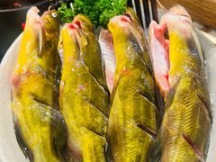 -廖掌柜·重庆鲜货火锅(上海首店)