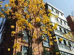 -西南民族大学南区(双流校区)