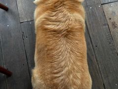 -肥朵食堂(带梦胡同店)