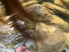 -牛角寨瀑布景区