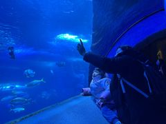 -太平洋海底世界