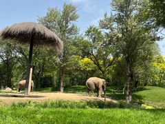 -北京野生动物园