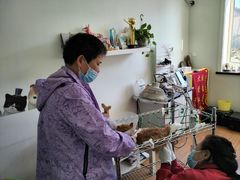 -北京观赏动物医院·24小时大型综合·猫专科·异宠专科