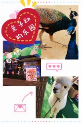 -萌宠亲子动物乐园(槐房万达店)