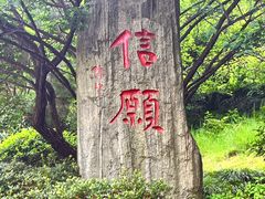 -庐山风景名胜区-东林大佛