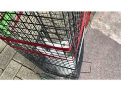 -乐琪宠物医院·犬猫专科·骨外科·急重症