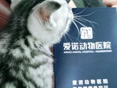 -爱诺动物医院(崂山店)
