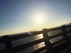 -星海湾跨海大桥