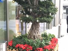 -IFC福州国际金融中心