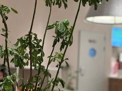 -奈雪的茶(七宝领展广场店)