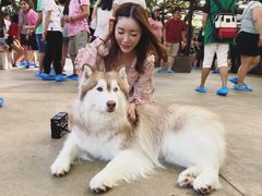 -TrueLove @ Neverland (Husky Cafe)