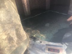 -裕龙汤泉