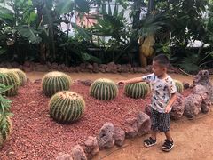 -北京呀路古热带植物园