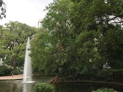 -九龙公园