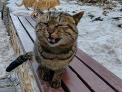 -终南山南五台景区