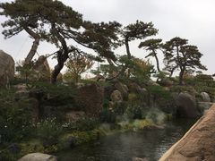 环境-罗红摄影艺术馆