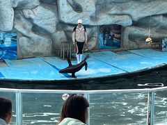 -泉州海丝野生动物世界