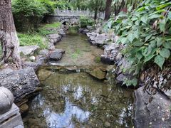 -百脉泉景区