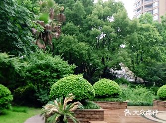 武林中心安静的紫庭花园