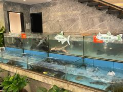 -饭怕鱼(阳光100店)