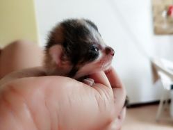 -Priscilla皮肤管理中心