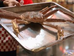 -綱元·海鲜豆捞(明州里店)