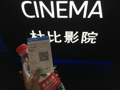 -万达影城(闵行颛桥万达广场杜比影院店)