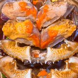 深圳探店|这家韩式烤肉真的是YYDS啊🌹