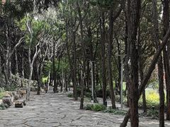 -嘉定紫藤园