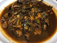 昂刺鱼-苏苑饭店-中餐厅(长桥地区店)